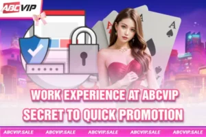work experience at abcvip
