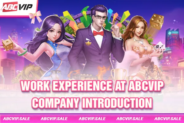 Work experience at ABCVIP - Company introduction